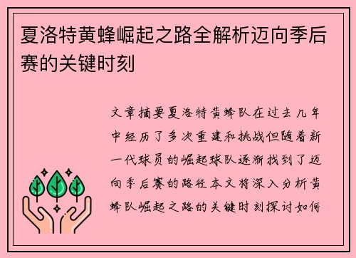 夏洛特黄蜂崛起之路全解析迈向季后赛的关键时刻 夏洛特黄蜂崛起之路全解析迈向季后赛的关键时刻