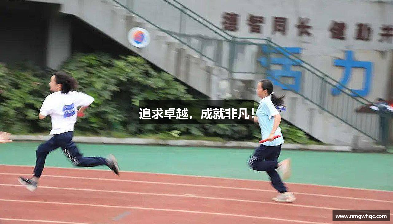 追求卓越，成就非凡！